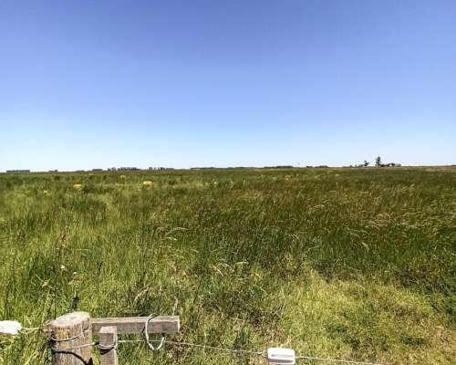 Vendo Germania Provincia de Buenos Aires