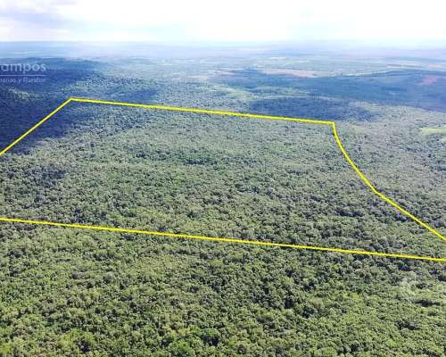 Se Vende Chacra en Roca Chica 71 HA, Todo Monte Nativo con a