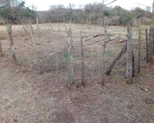 Venta de 213 Ha Ganaderas en Berrotarán