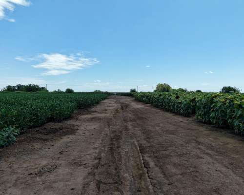 150 Ha Peyrano Santa FE