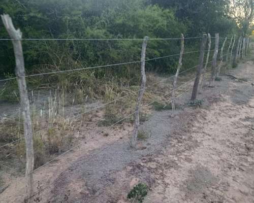 Campo Forestal / Ganadero en Venta – 265 Ha