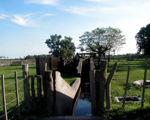 Campo Mixto de Gran Escala en Federal, Entre Ríos