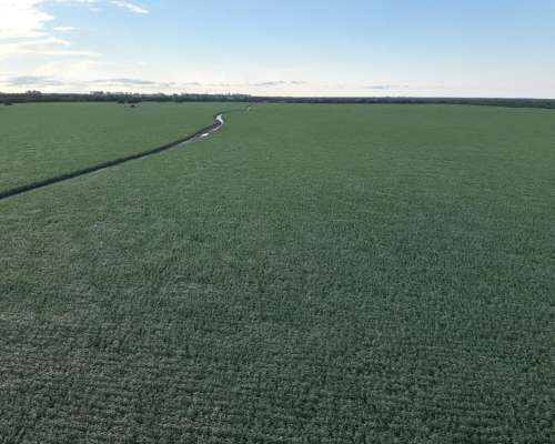 Establecimiento Mixto Centro de Entre Rios