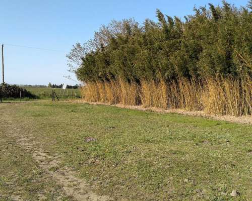 Vendo Campo 3ha con Casa y Galpón, Ideal Microemprendimiento