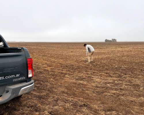 220 Ha Cabildo, Tornquist