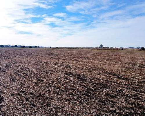 Campo Agrícola-ganadero de 25 Ha en Villa Mugueta