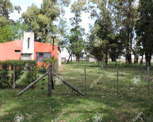 Campo en Venta 57 Has Punta Indio. Ganadero y Disfrute