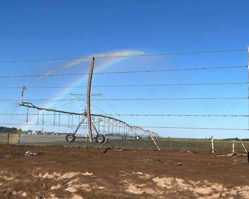 Riego Zanello Electronica Albarracin