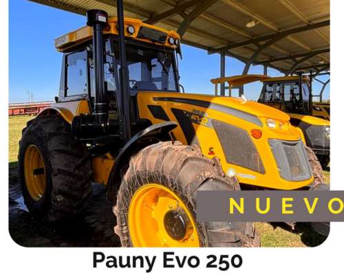 Pauny EVO 250 CC y 24.5x32