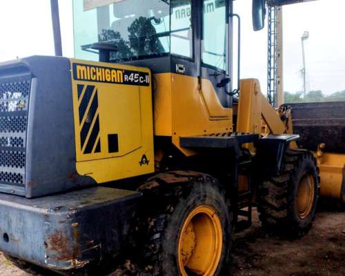 Pala Cargadora Michigan R45 año 2018