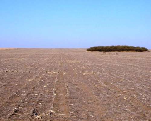 Sl0103 Venta Agricola 2000 Has la Capital, San Luis