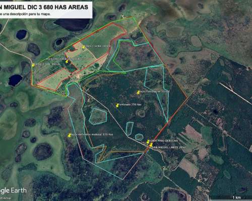 San Miguel 680 Has Forestal/ganadero Buen Precio