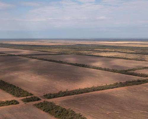 Pcia. de Salta - Apolinario Saravia 6390 Has