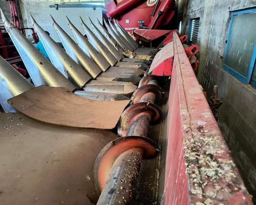 Maicero Mainero 2000 de 16 a 52 muy Bueno 2008