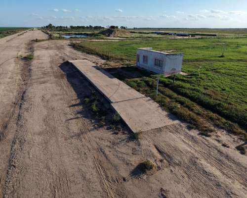 Tobas, Juan Felipe Ibarra, Santiago del Estero - 3.580 Ha