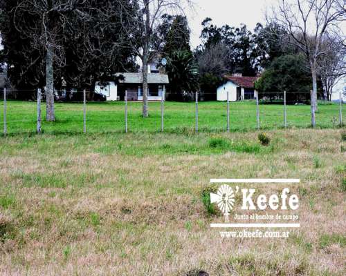 2500 Has. Campo en Venta en Gral. Juan Madariaga
