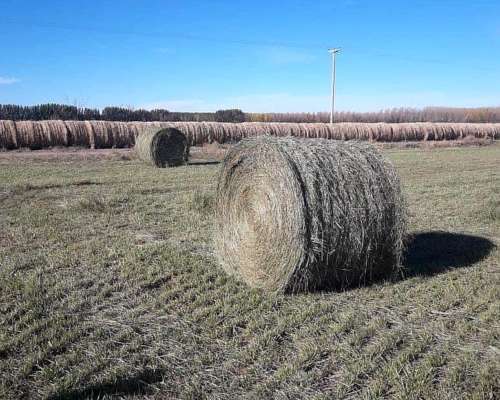 Vendo Campo Bajo Riego PTO X Hacienda