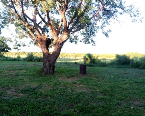 Campo Ganadero Excelente Ubicación.