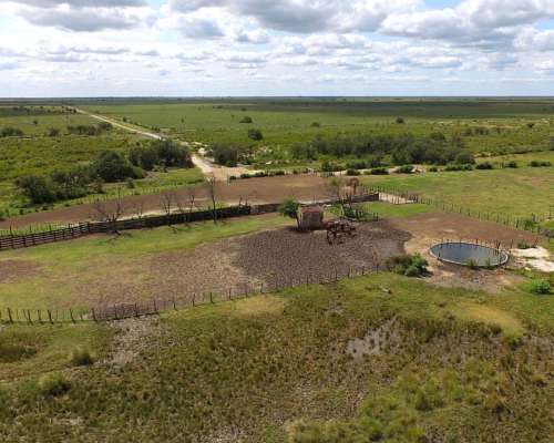 Pcia. de Santa FE - San Cristobal 9284 Has