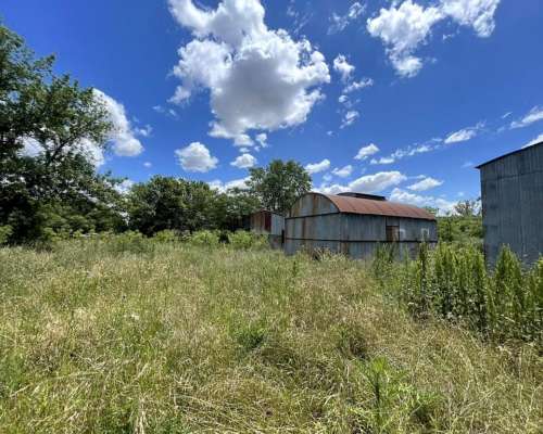 Totoras, Iriondo, Santa FE - 160 Ha