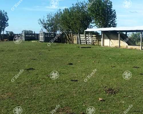 Campo en Venta 1675 Has en Treinta y Tres, Uruguay