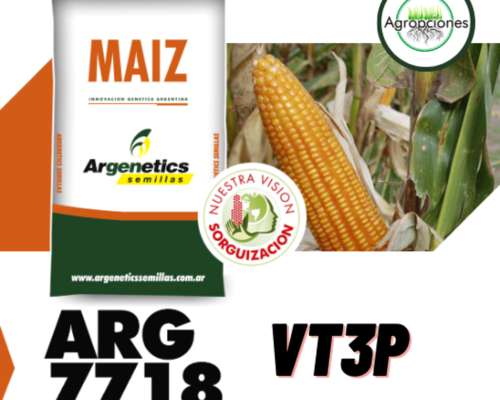 Semilla de Maiz ARG 7718 Vt3p - Argenetics