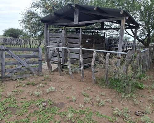 Jaguel del Monte, Loventué, la Pampa - 25.700 Ha
