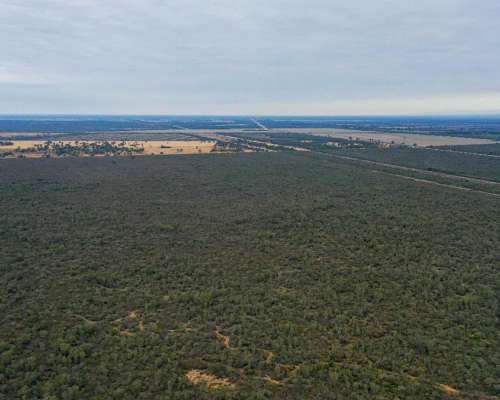 Pcia. de Santiago del Estero - Tapso 1948 Has