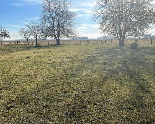 Campo 115 Ha Agricolas Venta Saladillo