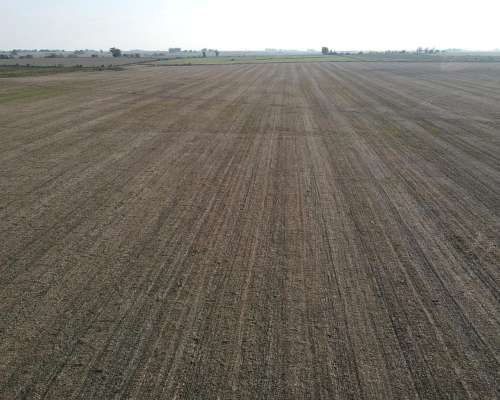 220 Hectáreas Campo Agrícola en Gualeguaychú.