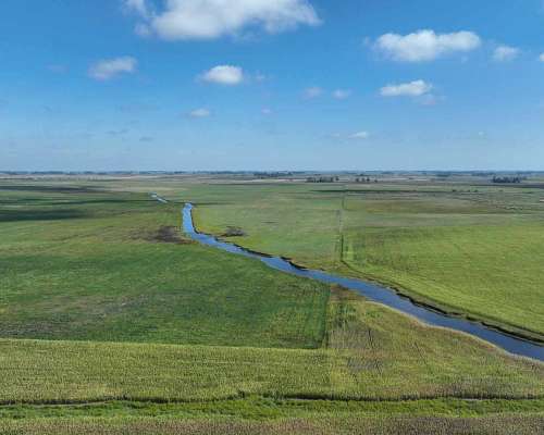 Pcia. de Buenos Aires - Roque Perez 243 Ha