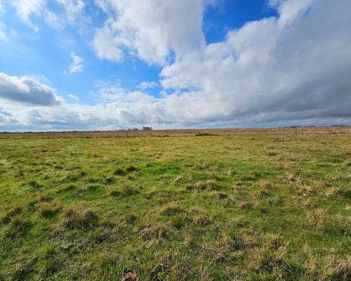 Oportunidad - Arrendamiento Campo Ganadero 1400 Ha