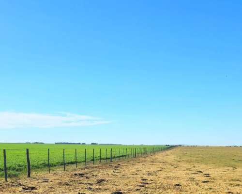 900 Ha Cabildo, Buenos Aires