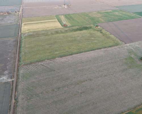 17 Has Agricolas en San Genaro. Excelente Lote. Serie Clason