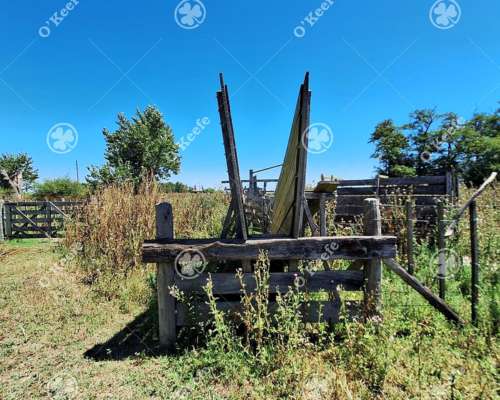 Campo Mixto en Venta 90 Has en Ranchos, con Buen Acceso