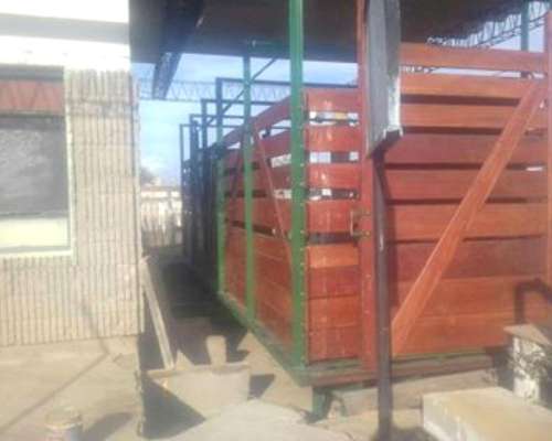 Básculas para Hacienda 10000 - 12000 - 16000 Kg