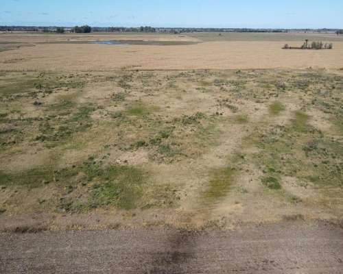 Campo en Venta de 178 Has en las Heras. Agricola