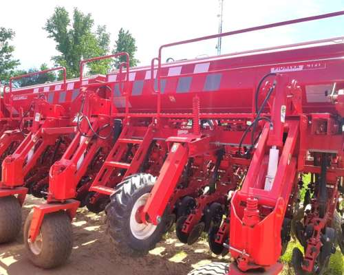 Semb Crucianelli G. Fino Pionera 4121