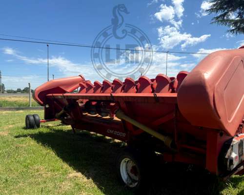 Maicero Ombu cm 2008 de 11 Surcos