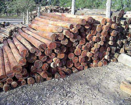 Postes de Quebracho Colorado