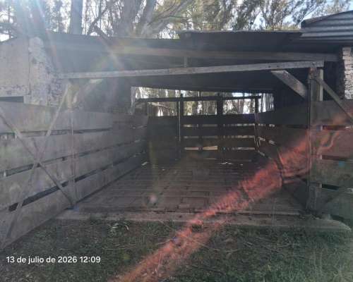 Vendo Balanza de 10 Mil Kilos