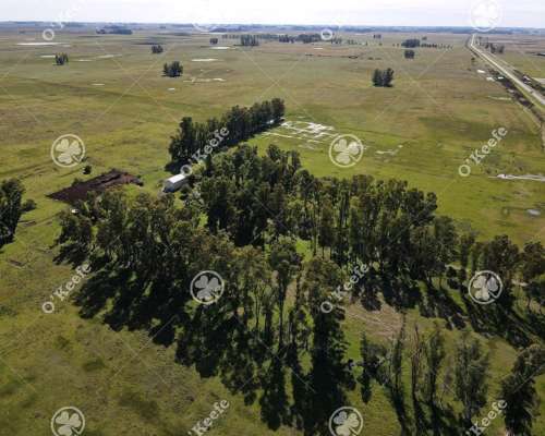 Campo en Venta de 1420 Has en Azul. Ganadero