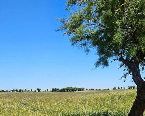 165 Ha Teniente Origone, Buenos Aires