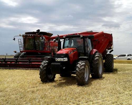 Tractor Case IH, Maxxum 125, año 2011, 5.500 Hs Motor