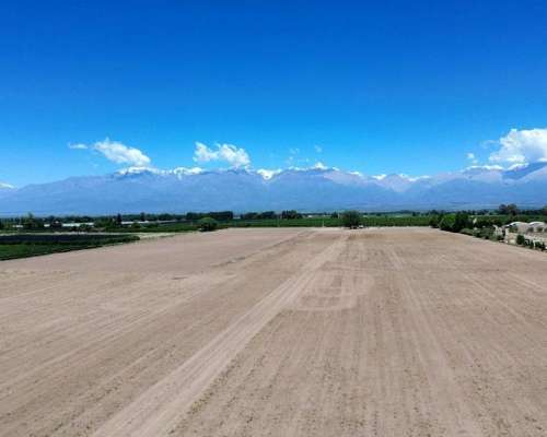 Finca en Venta 30 Ha / las Pintadas - Tunuyán