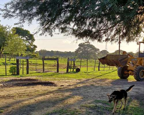 Campo Ganadero la Verde