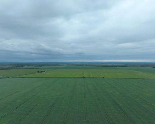 Pcia. de Catamarca - Bañado de Ovanta 437 Ha
