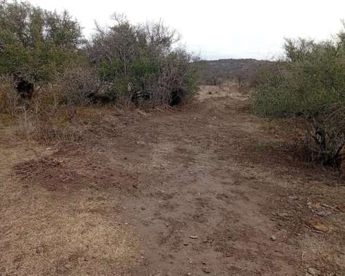 Venta de 213 Ha Ganaderas en Berrotarán