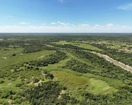 Pcia. de Corrientes - Sauce 1076 Ha