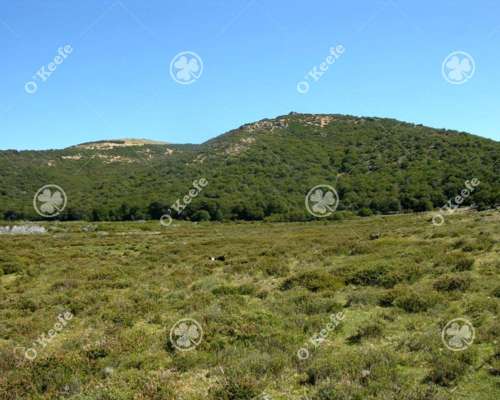 Campo en Venta de 486 Has Bariloche, Alto Rio Chubut